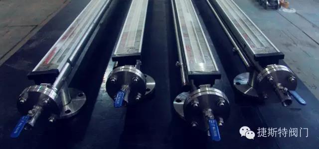 福建捷斯特閥門(mén)制造有限公司